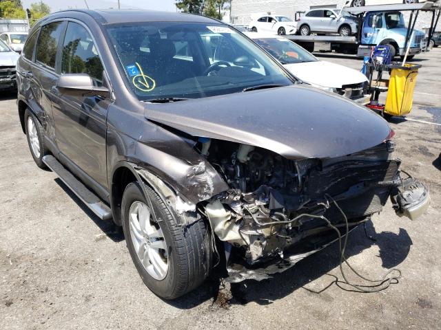 HONDA CR-V EXL 2011 with VIN 5J6RE3H71BL034780 - Photo from auction