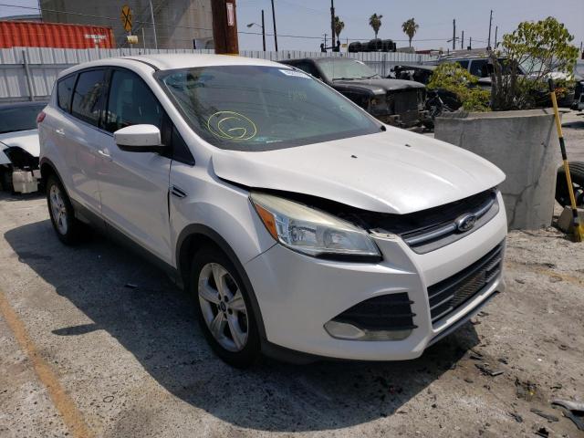 FORD ESCAPE SE 2014 with VIN 1FMCU0GX5EUC23599 - Photo from auction