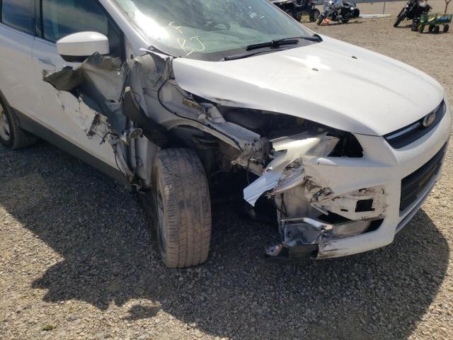 Photo 9 from auction – 2013 FORD ESCAPE SE with VIN 1FMCU9GX2DUA95292
