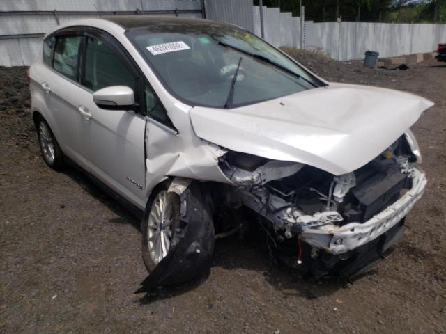 FORD C-MAX SEL 2013 with VIN 1FADP5BUXDL548768 - Photo from auction