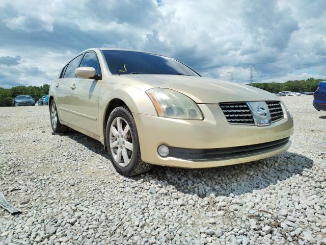 NISSAN MAXIMA SE 2004 with VIN 1N4BA41E34C857415 - Photo from auction