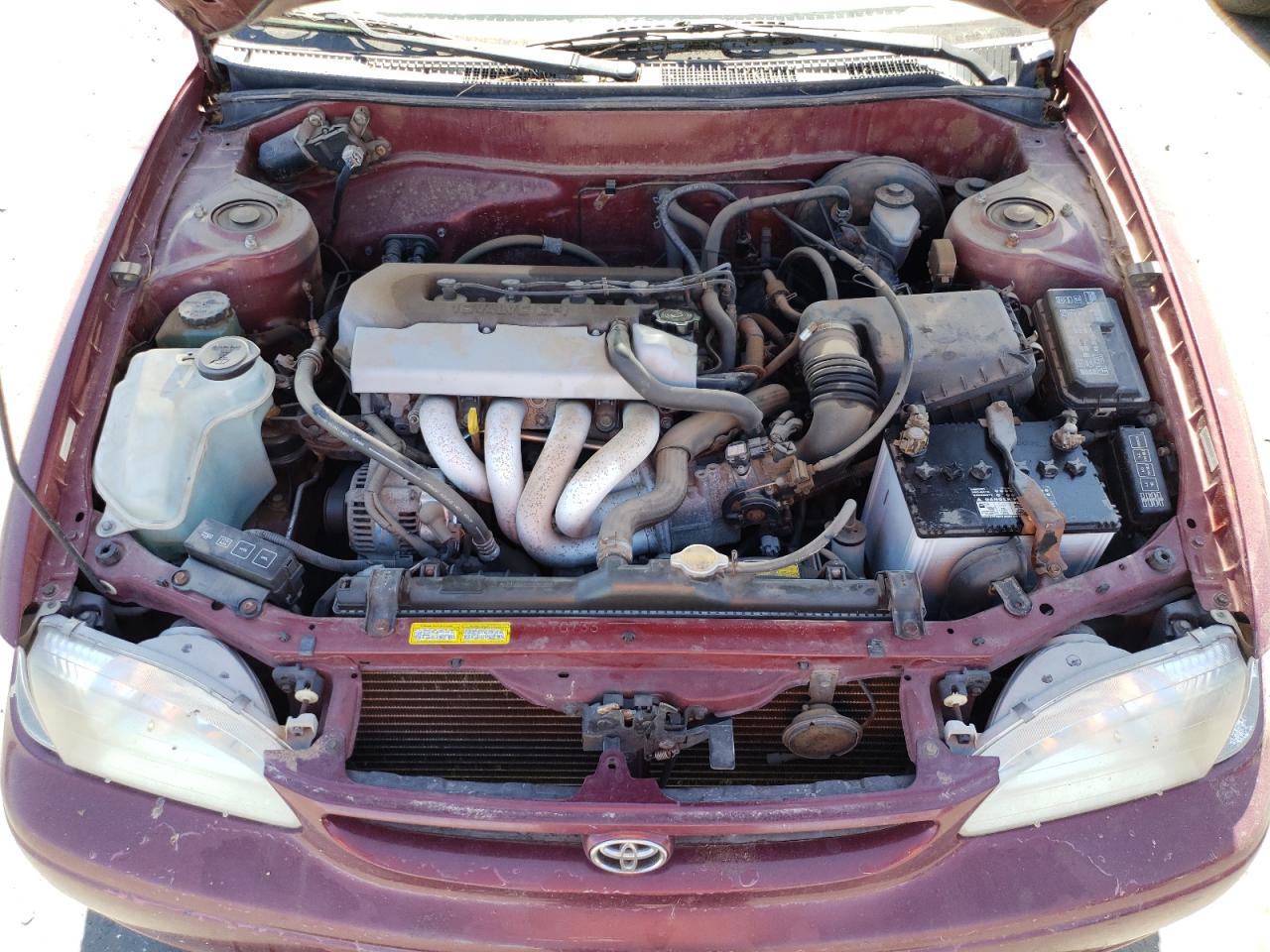 Photo 7 from auction – 1998 TOYOTA COROLLA VE with VIN 2T1BR12E1WC084406