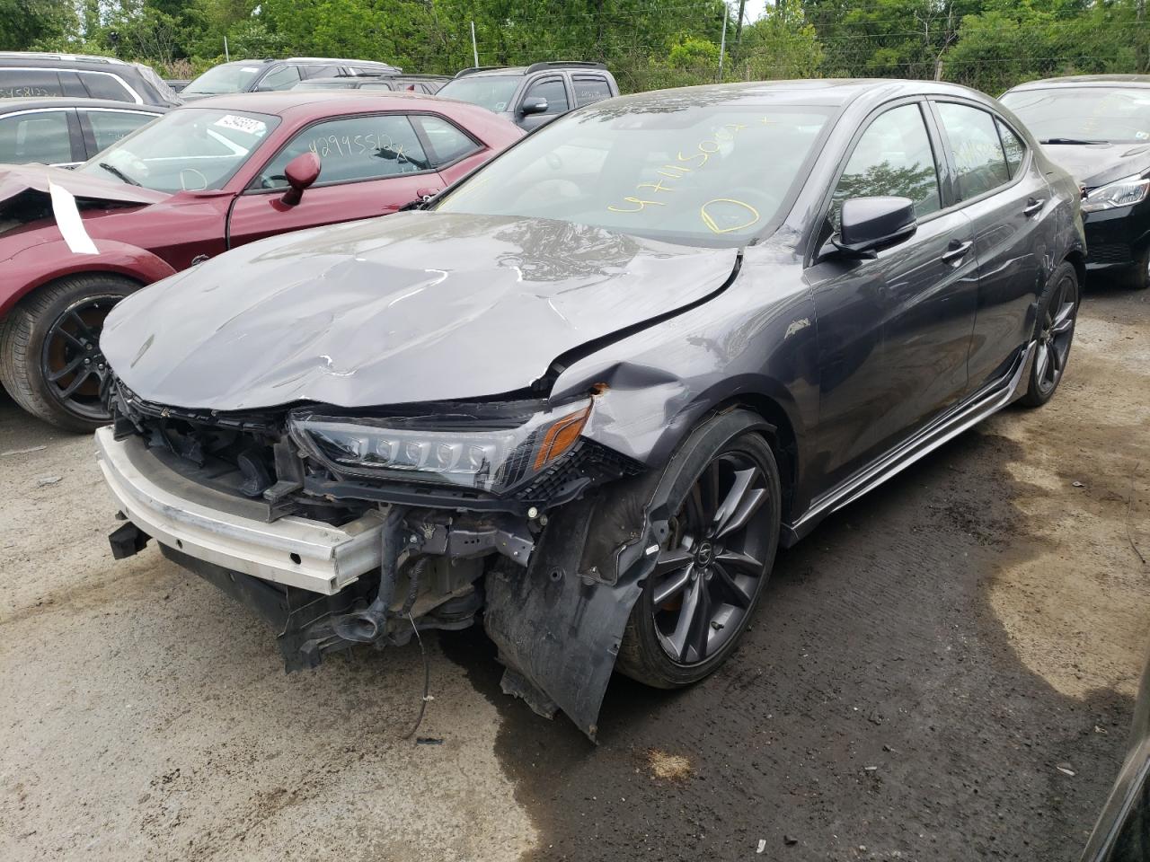 Photo 15 from auction – 2019 ACURA TLX TECHNO with VIN 19UUB2F64KA002271