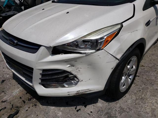 Photo 9 from auction – 2014 FORD ESCAPE SE with VIN 1FMCU0GX5EUC23599