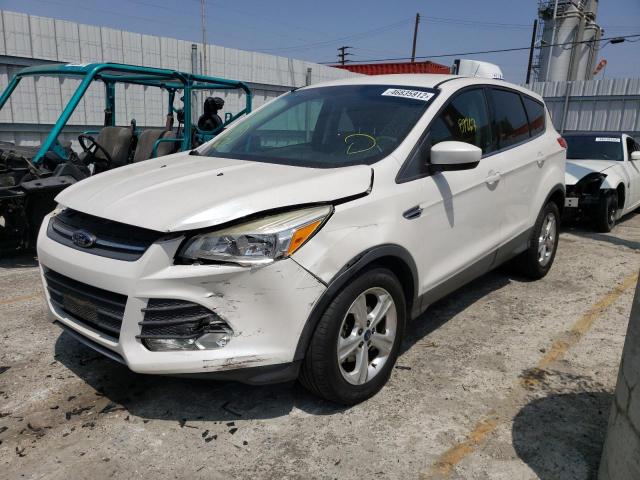 Photo 2 from auction – 2014 FORD ESCAPE SE with VIN 1FMCU0GX5EUC23599