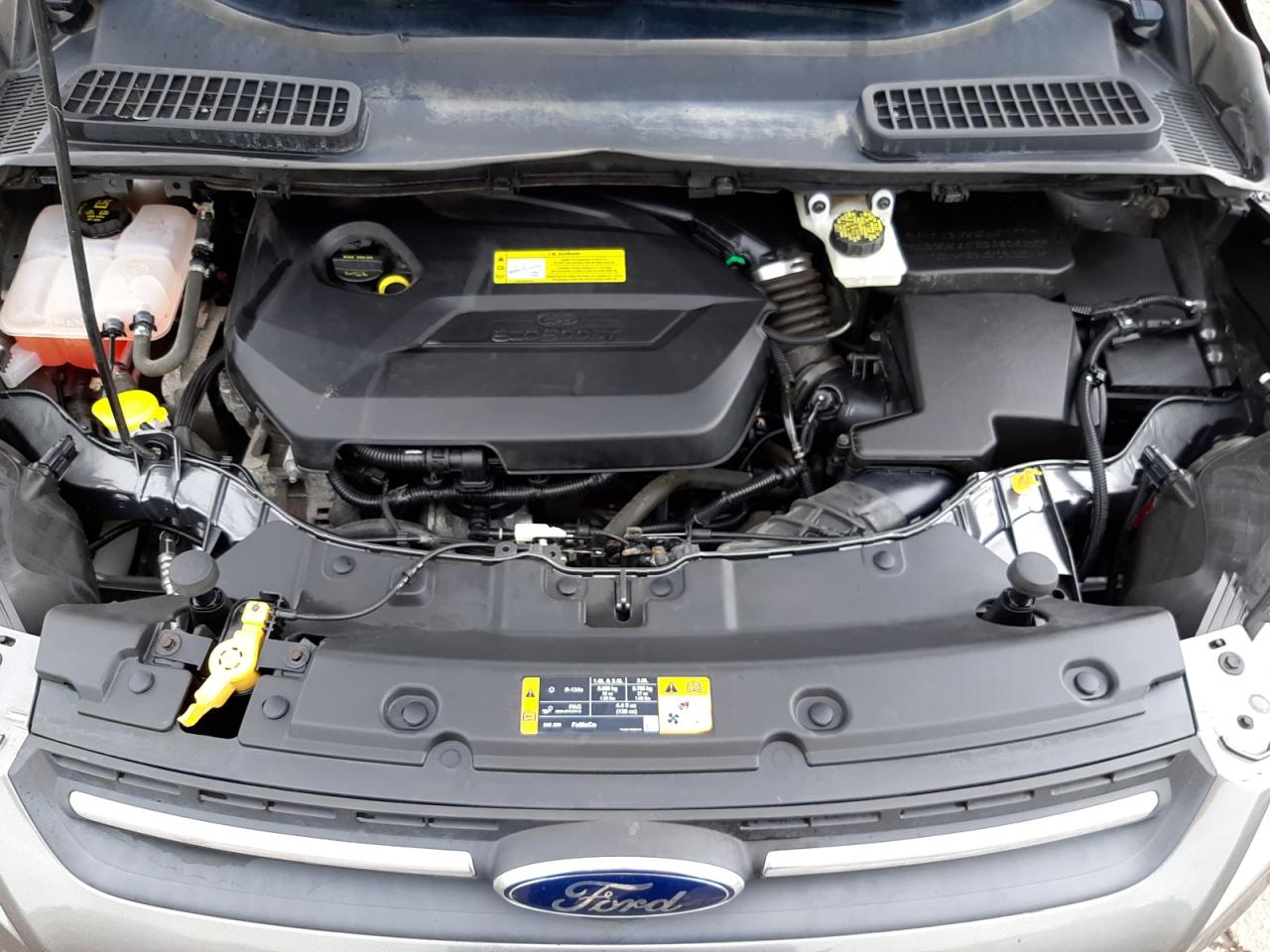 Photo 7 from auction – 2014 FORD ESCAPE SE with VIN 1FMCU0GX4EUB77070