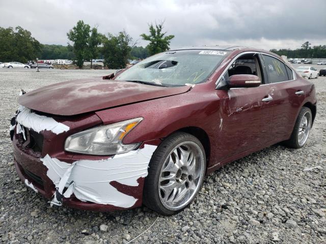 Photo 2 from auction – 2010 NISSAN MAXIMA S with VIN 1N4AA5AP9AC830914