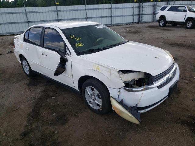 CHEVROLET MALIBU LS 2005 with VIN 1G1ZT52845F306002 - Photo from auction