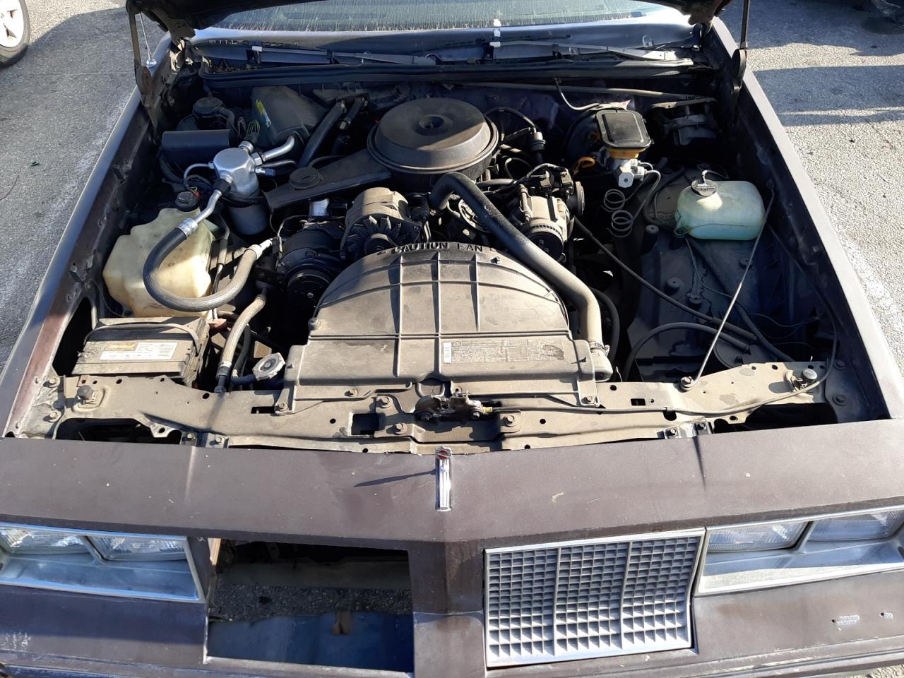 Photo 7 from auction – 1985 OLDSMOBILE CUTLASS SU with VIN 1G3GR47A9FP316359