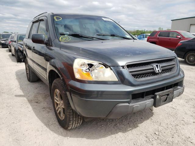 HONDA PILOT EX 2004 with VIN 2HKYF184X4H533447 - Photo from auction