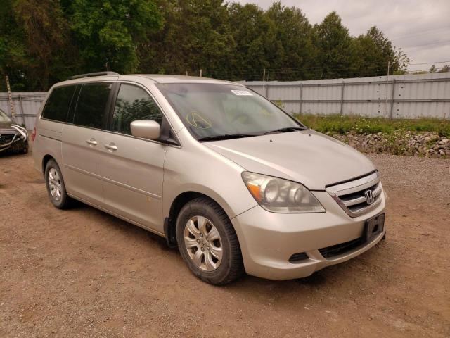 HONDA ODYSSEY EX 2007 with VIN 5FNRL38447B501900 - Photo from auction