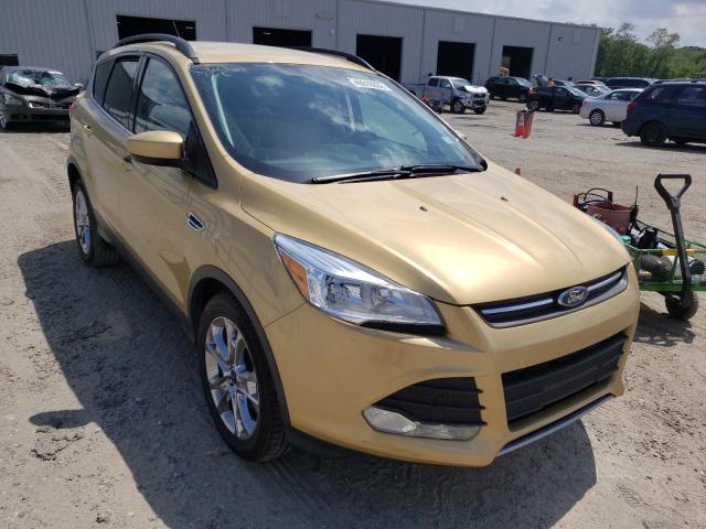 FORD ESCAPE SE 2014 with VIN 1FMCU0GX2EUE06541 - Photo from auction