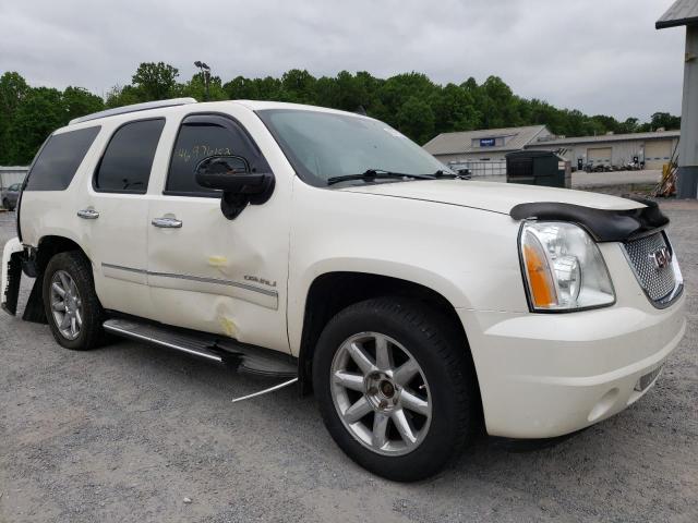GMC YUKON DENA 2010 with VIN 1GKUKEEF9AR206585 - Photo from auction