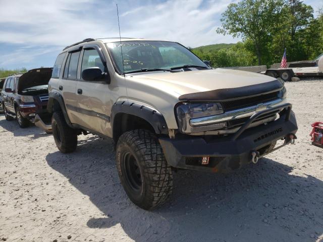 CHEVROLET TRAILBLAZE 2004 with VIN 1GNDT13S742273496 - Photo from auction