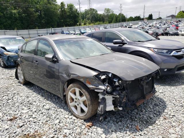 NISSAN MAXIMA SE 2005 مع رقم تعريف المركبة 1N4BA41E75C843065 - صورة من المزاد