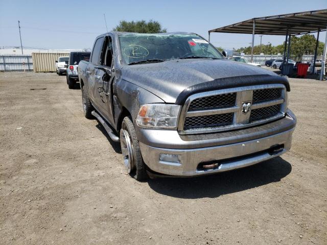 DODGE RAM 1500 2009 with VIN 1D3HV13T89S744440 - Photo from auction
