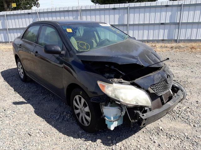 TOYOTA COROLLA BA 2010 with VIN 2T1BU4EE1AC489895 - Photo from auction