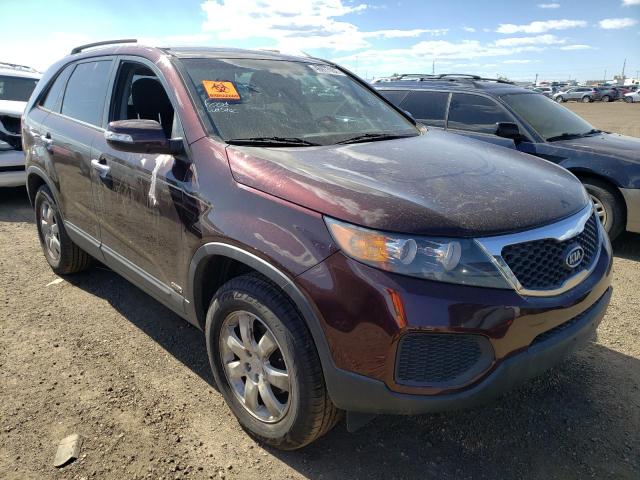 KIA SORENTO BA 2011 with VIN 5XYKTDA24BG134384 - Photo from auction