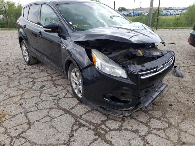 Photo 9 from auction – 2013 FORD ESCAPE SEL with VIN 1FMCU0HX7DUD37763