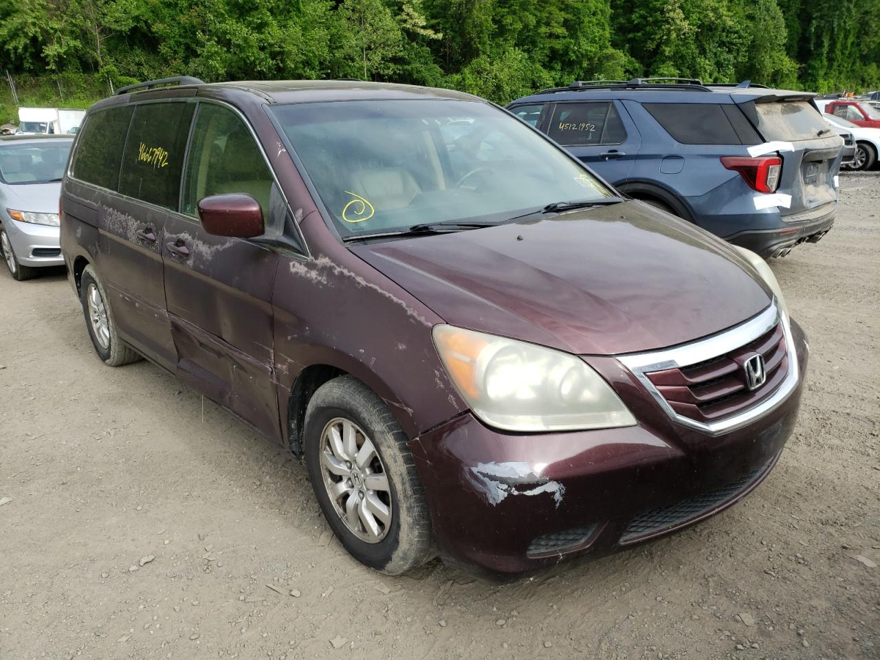 HONDA ODYSSEY EX 2009 with VIN 5FNRL38649B021568 - Photo from auction