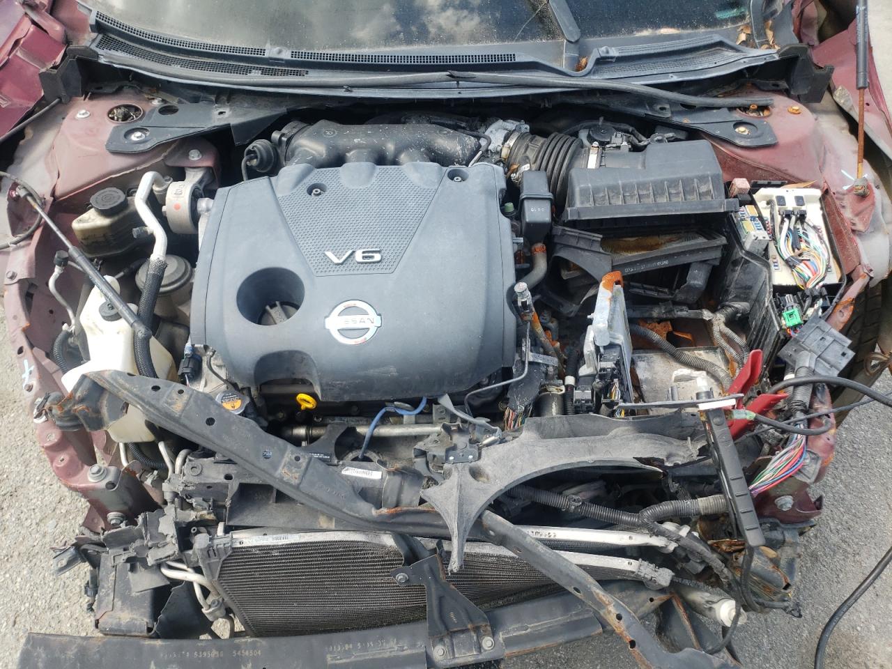 Photo 7 from auction – 2010 NISSAN MAXIMA S with VIN 1N4AA5AP7AC867041