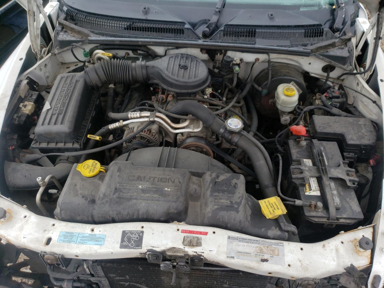 Photo 19 from auction – 2000 DODGE DAKOTA with VIN 1B7GL22X2YS517778