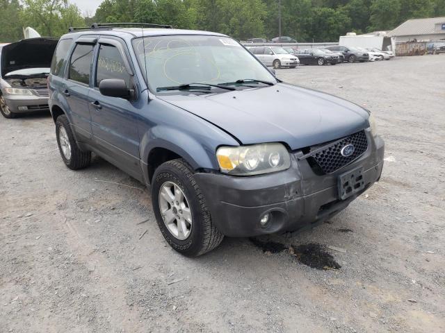 FORD ESCAPE XLT 2005 with VIN 1FMYU93145KA42212 - Photo from auction