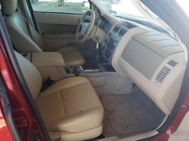 Photo 5 from auction – 2010 FORD ESCAPE XLT with VIN 1FMCU0DG0AKA71807