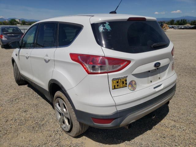 Photo 3 from auction – 2013 FORD ESCAPE SE with VIN 1FMCU9GX2DUA95292