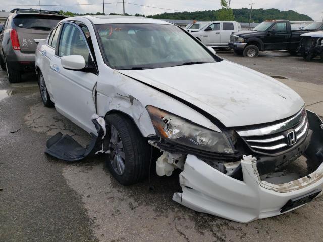 HONDA ACCORD EXL 2011 with VIN 1HGCP3F84BA028017 - Photo from auction