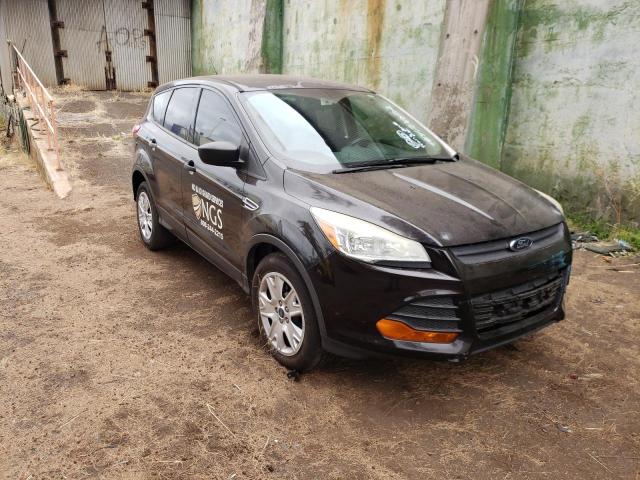 FORD ESCAPE S 2013 with VIN 1FMCU0F74DUB56008 - Photo from auction