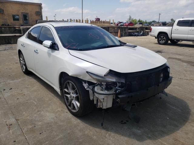 NISSAN MAXIMA S 2009 with VIN 1N4AA51E39C858055 - Photo from auction