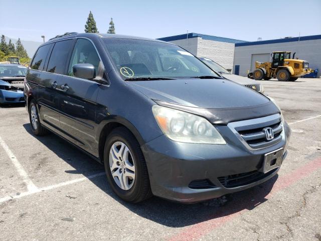 HONDA ODYSSEY EX 2005 with VIN 5FNRL38415B103802 - Photo from auction