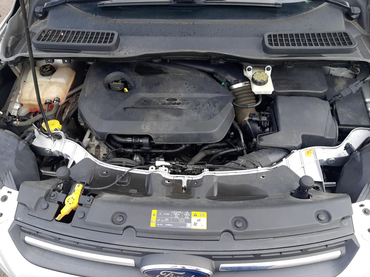 Photo 7 from auction – 2013 FORD ESCAPE SE with VIN 1FMCU0GX2DUB97929