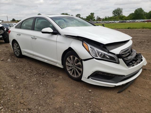 HYUNDAI SONATA SPO 2016 with VIN 5NPE34AF3GH414765 - Photo from auction
