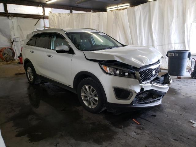 KIA SORENTO LX 2016 with VIN 5XYPGDA32GG096356 - Photo from auction