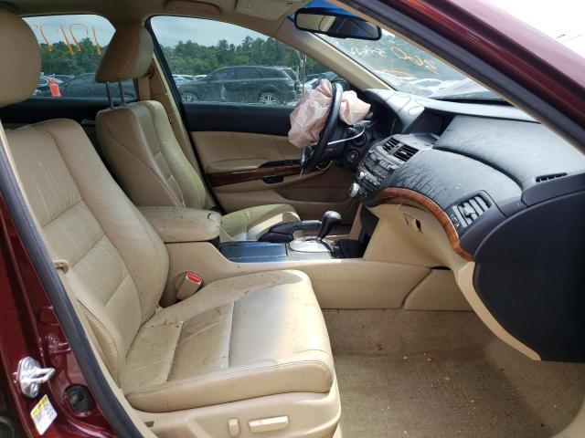 Photo 5 from auction – 2011 HONDA ACCORD EXL with VIN 1HGCP2F89BA042831