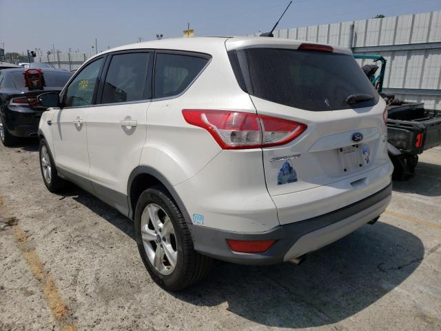 Photo 3 from auction – 2014 FORD ESCAPE SE with VIN 1FMCU0GX5EUC23599
