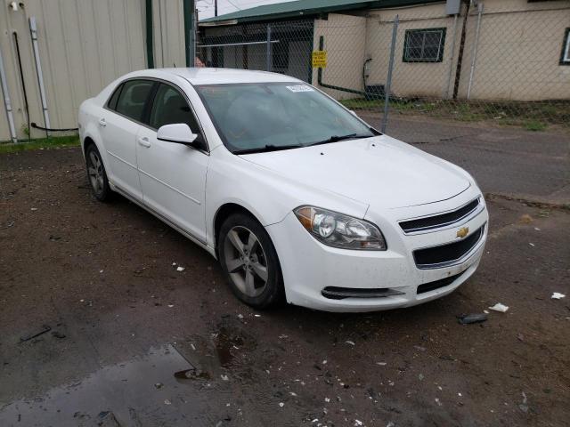CHEVROLET MALIBU 1LT 2011 with VIN 1G1ZC5E18BF174050 - Photo from auction