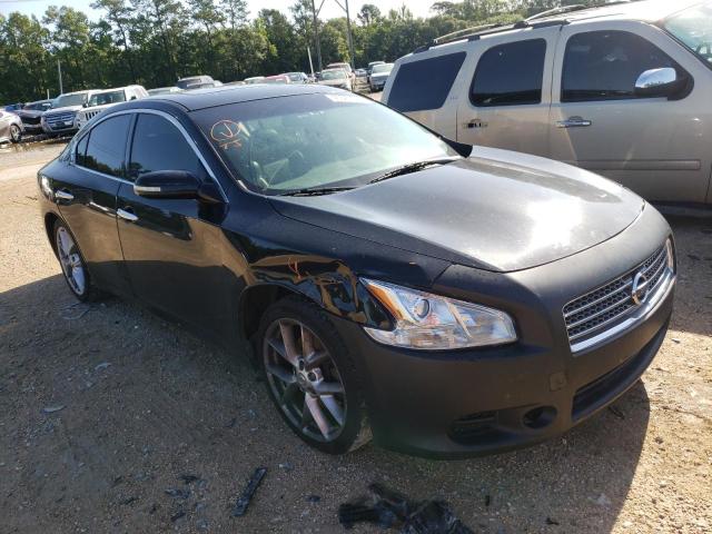 NISSAN MAXIMA S 2010 with VIN 1N4AA5AP3AC841648 - Photo from auction