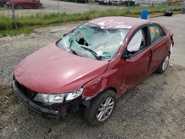 Photo 9 from auction – 2010 KIA FORTE EX with VIN KNAFU4A25A5290453
