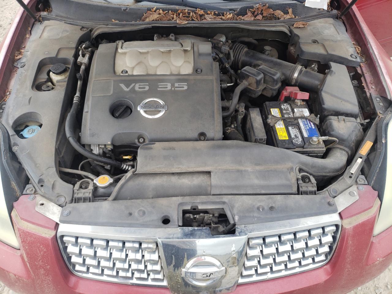 Photo 7 from auction – 2005 NISSAN MAXIMA SE with VIN 1N4BA41E25C823144