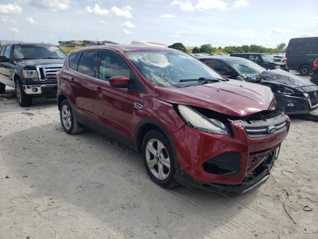 FORD ESCAPE SE 2014 with VIN 1FMCU0GX2EUB23380 - Photo from auction