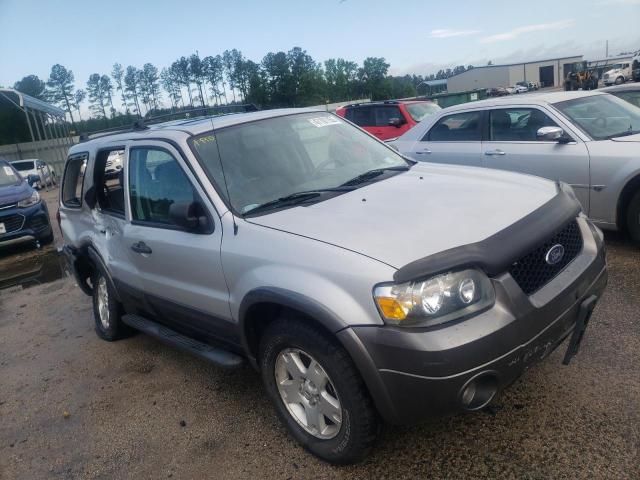 FORD ESCAPE XLT 2006 with VIN 1FMYU93156KC81155 - Photo from auction