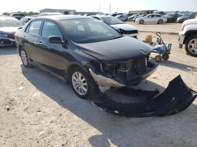 TOYOTA COROLLA BA 2010 with VIN 2T1BU4EE5AC515561 - Photo from auction