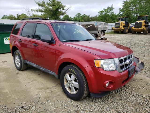 FORD ESCAPE XLS 2010 with VIN 1FMCU0D77AKC07883 - Photo from auction