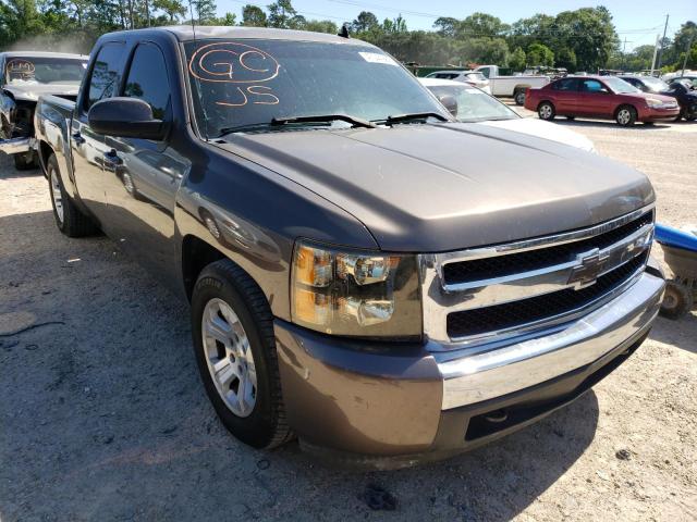 CHEVROLET SILVERADO 2008 with VIN 2GCEC13JX81173709 - Photo from auction