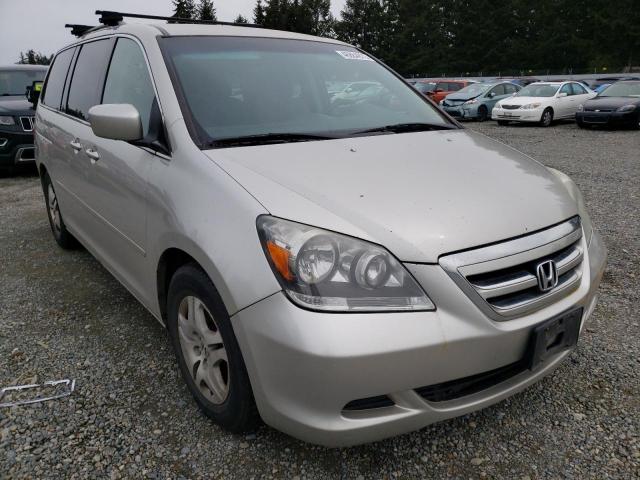 HONDA ODYSSEY EX 2006 with VIN 5FNRL38406B419256 - Photo from auction