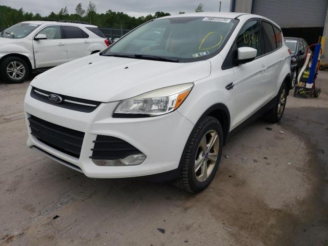 Photo 2 from auction – 2013 FORD ESCAPE SE with VIN 1FMCU0GXXDUC37576