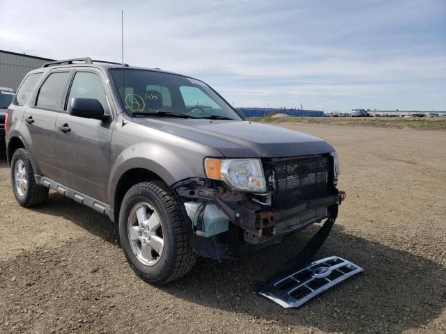 FORD ESCAPE XLT 2011 with VIN 1FMCU0D75BKB40007 - Photo from auction